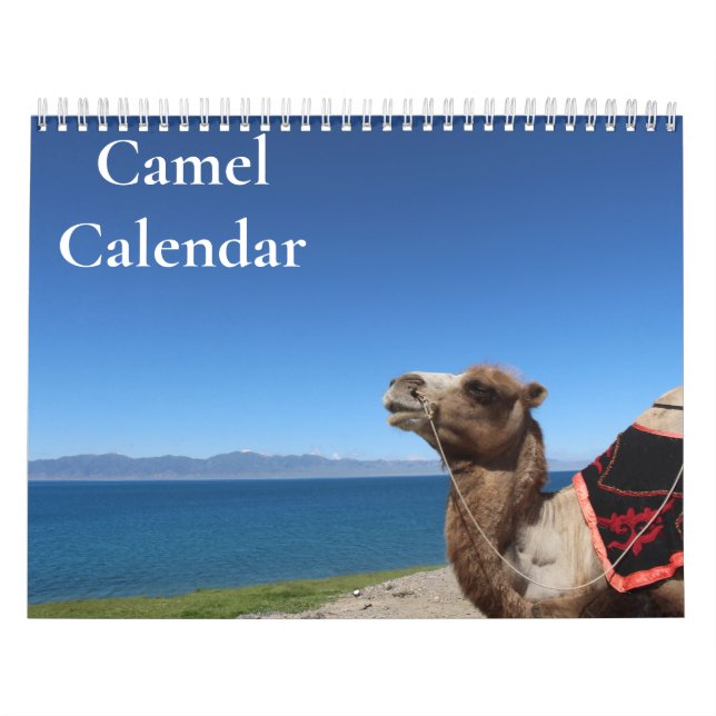 Calendario de camellos 2025 (Tapa)