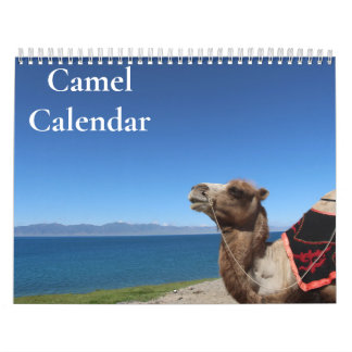 Calendario de camellos 2025
