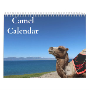 Calendario de Camellos 2027