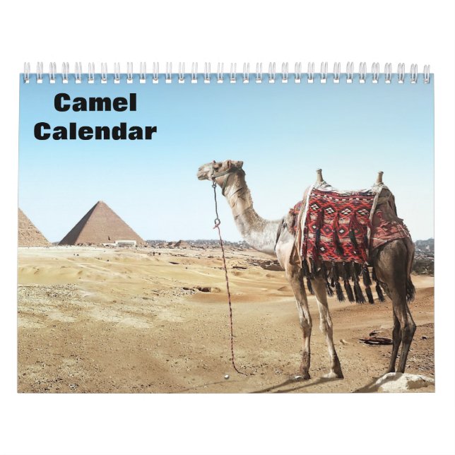 Calendario de camellos de 2025 (Tapa)