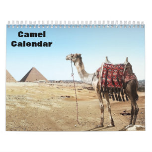 Calendario de camellos de 2025