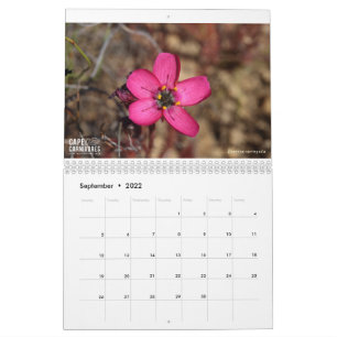 Calendario de Cape Carnivores 2022