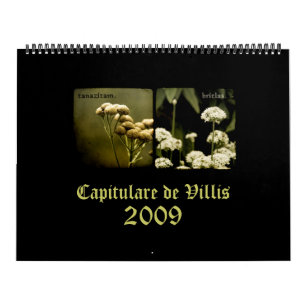 Calendario de Capitulare de Villis 2009