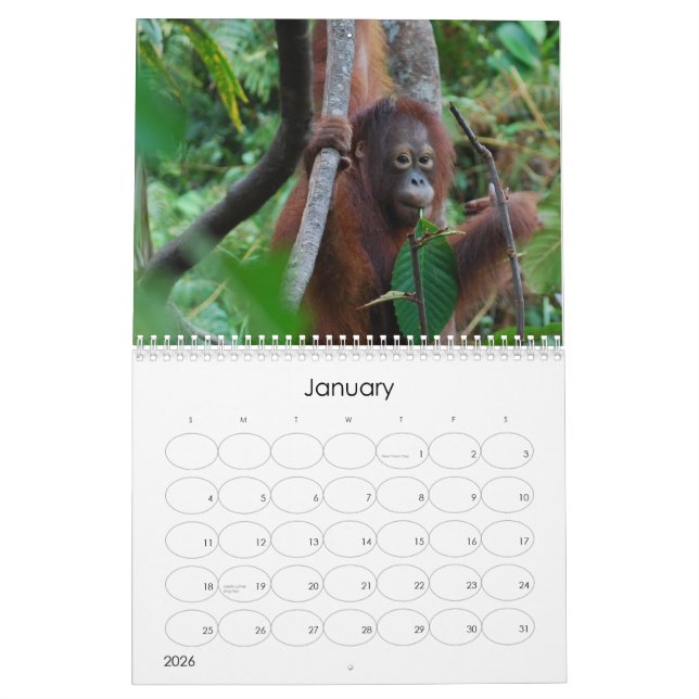 Calendario de caridad de la vida silvestre Krista  (Jan 2026)