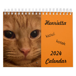 Calendario de Cat 2024 de Tabby, naranja, con pala