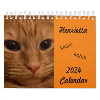 Calendario de Cat 2024 de Tabby, naranja, con pala