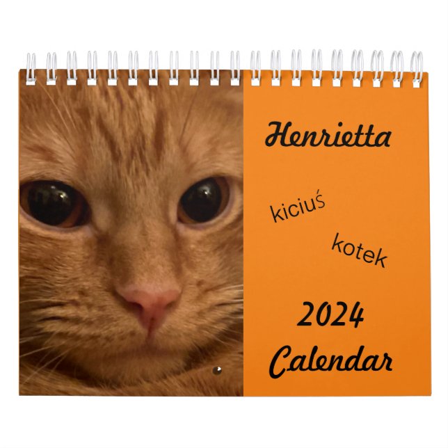 Calendario de Cat 2024 de Tabby, naranja, con pala (Tapa)