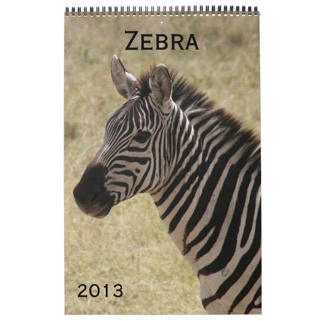 calendario de cebra 2013 (Tapa)