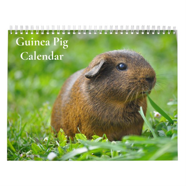 Calendario de cerdo de Guinea 2025 (Tapa)