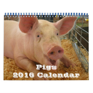 Calendario de cerdos 2016