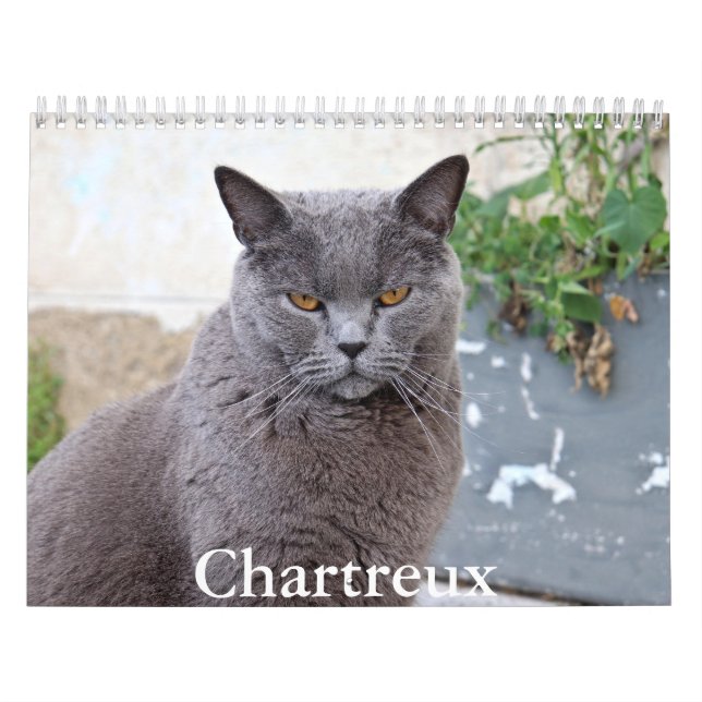 Calendario de Chartreux (Tapa)