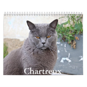 Calendario de Chartreux