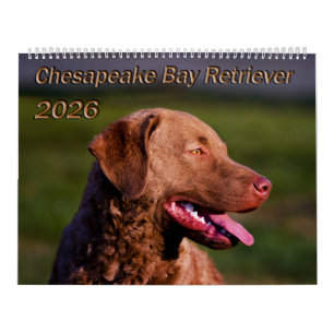 Calendario de Chesapeake Bay Retriever 2026