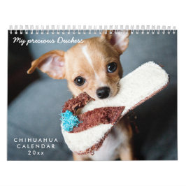 Calendario de Chihuahua 2026, fotos de sus Mascota
