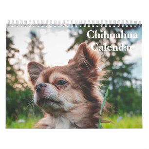 Calendario de Chihuahua 2027