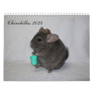 Calendario de Chinchilla
