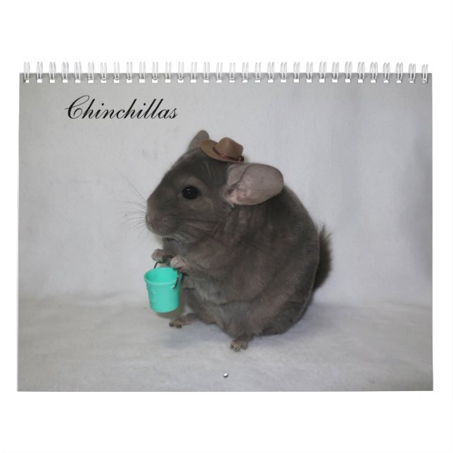 Calendario de Chinchilla (Tapa)