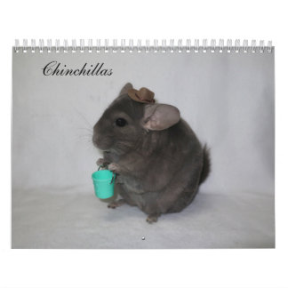 Calendario de Chinchilla