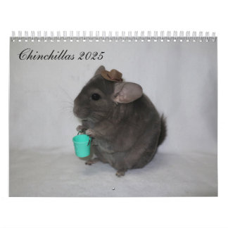 Calendario de Chinchilla