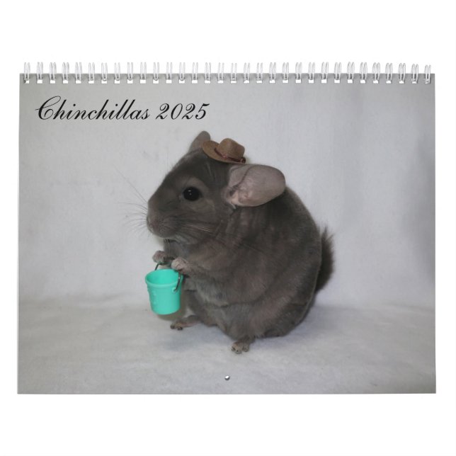 Calendario de Chinchilla (Tapa)