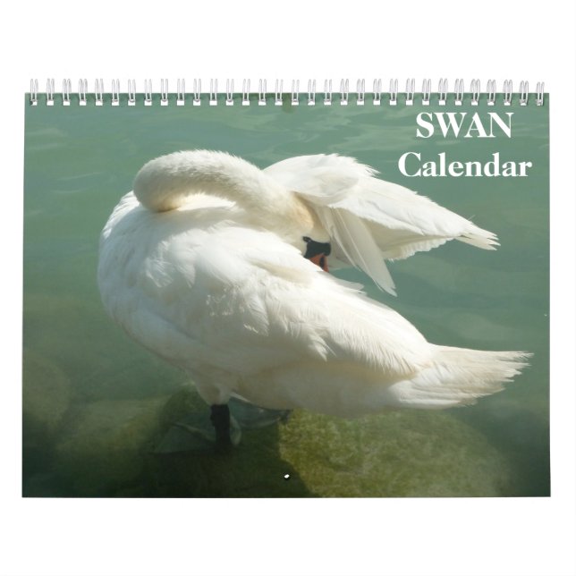 Calendario de cisnes 2023 (Tapa)