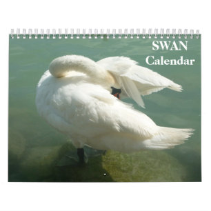 Calendario de cisnes 2023