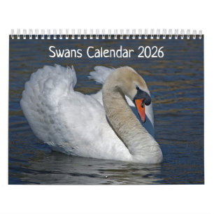 Calendario de cisnes 2025