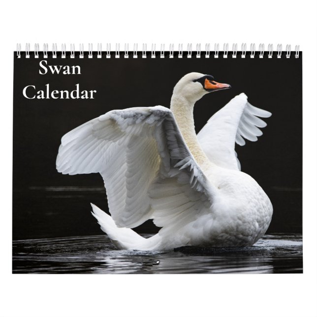 Calendario de Cisnes 2027 (Tapa)