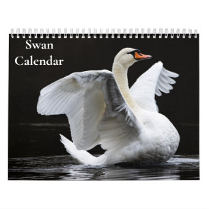 Calendario de Cisnes 2027