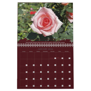Calendario de citas inspiradoras de fotografía de