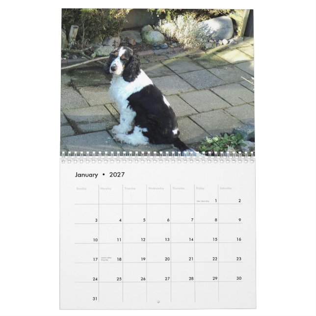 calendario de cocker spaniel del inglés (Jan 2027)