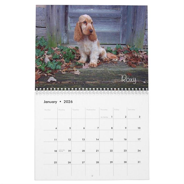 Calendario de cocker spaniel del inglés del Y-Nudo (Jan 2026)