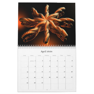 Calendario de colecciones 3D 2024
