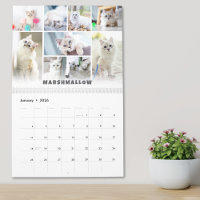 Calendario de Collage de fotos de gatos de mascota