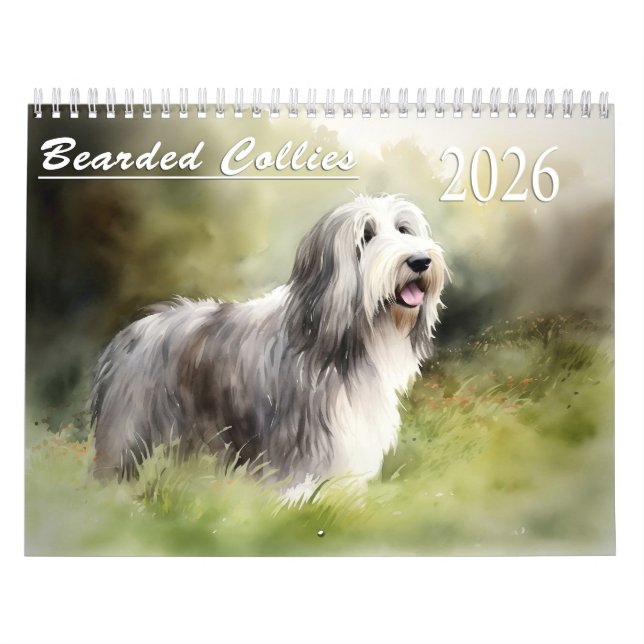Calendario de Collies Barbudo 2026 (Tapa)