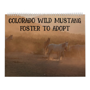 Calendario de Colorado para Adoptar y Criar