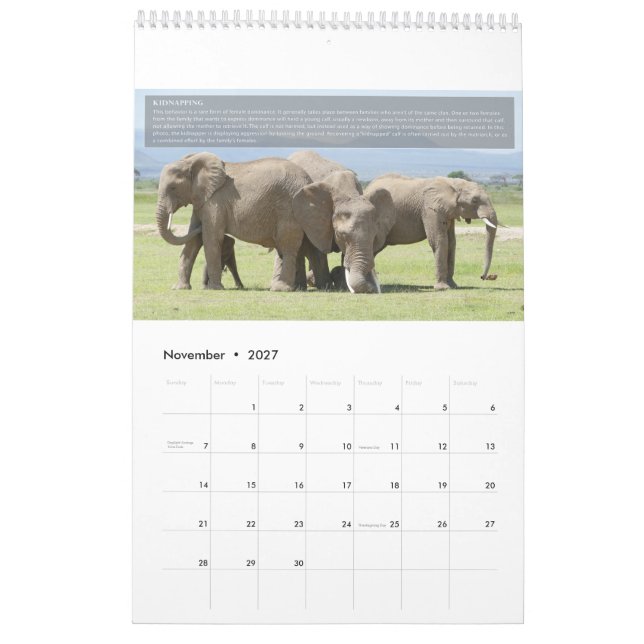 Calendario de comportamiento del elefante (Nov 2027)