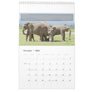 Calendario de comportamiento del elefante