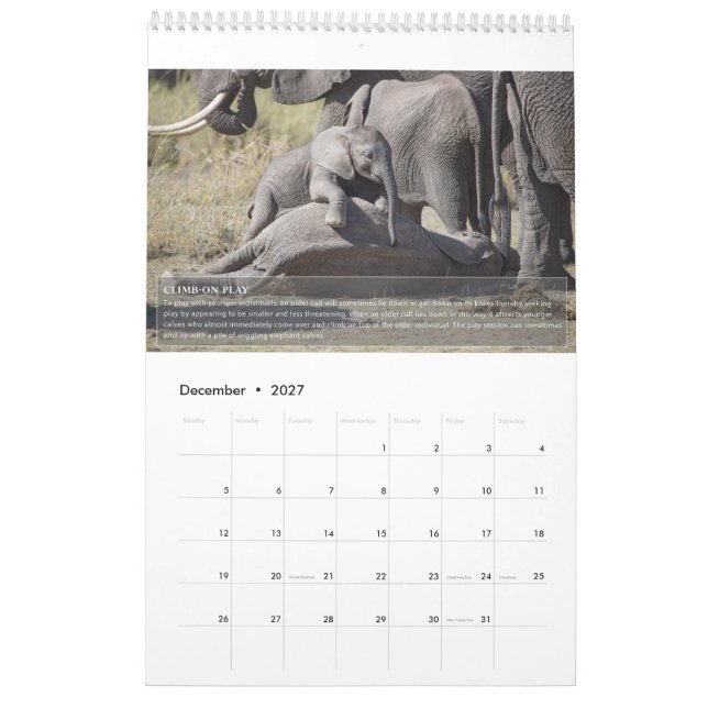 Calendario de comportamiento del elefante (Dec 2027)