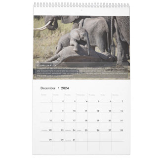 Calendario de comportamiento del elefante