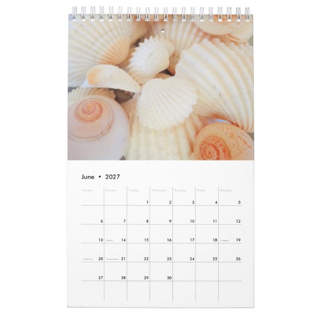 Calendario de conchas marinas 2024 Romántico tropi (Jun 2027)