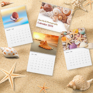Calendario de conchas marinas 2026 Fotografía de