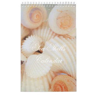 Calendario de conchas marinas tropical tropical ex