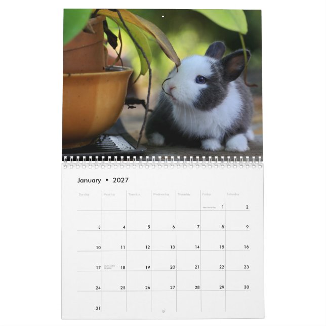 Calendario de Conejos Conejos Conejitos Conejitos  (Jan 2027)