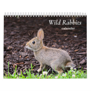 Calendario de Conejos Salvajes