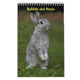 Calendario de conejos y liebres