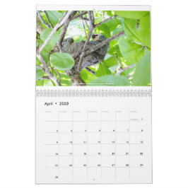 Calendario de Costa Rica