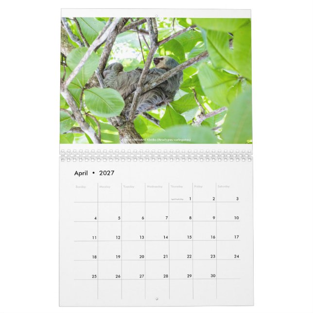 Calendario de Costa Rica (Apr 2027)