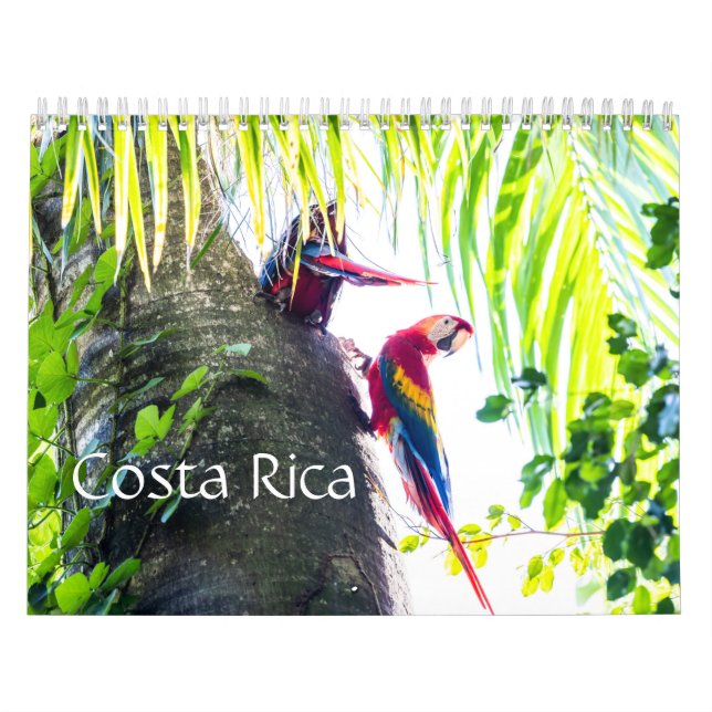 Calendario de Costa Rica (Tapa)