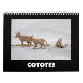 Calendario de Coyotes